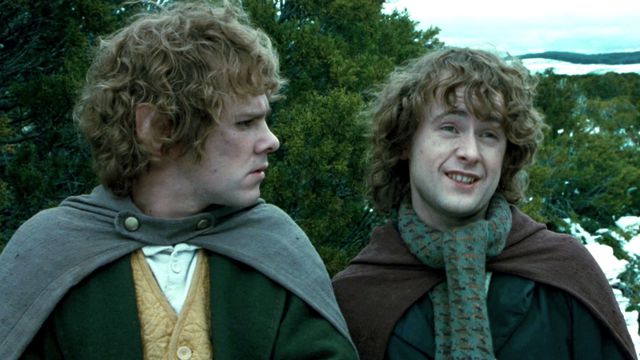 pippin gives merry the stink eye in Lord of the Rings